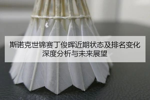 si-nuo-ke-shi-jin-sai-ding-jun-hui-jin-qi-zhuang-tai-ji-pai-ming-bian-hua-shen-du-fen-xi-yu-wei-lai-zhan-wang-2-279.jpg