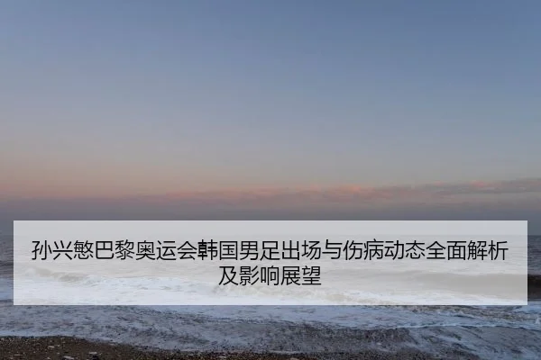 孙兴慜巴黎奥运会韩国男足出场与伤病动态全面解析及影响展望