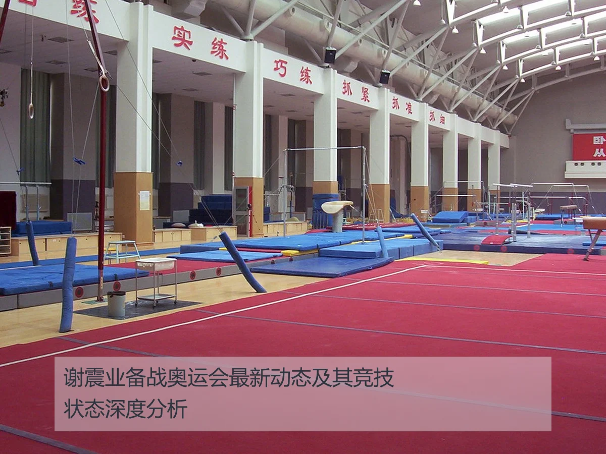 谢震业备战奥运会最新动态及其竞技状态深度分析