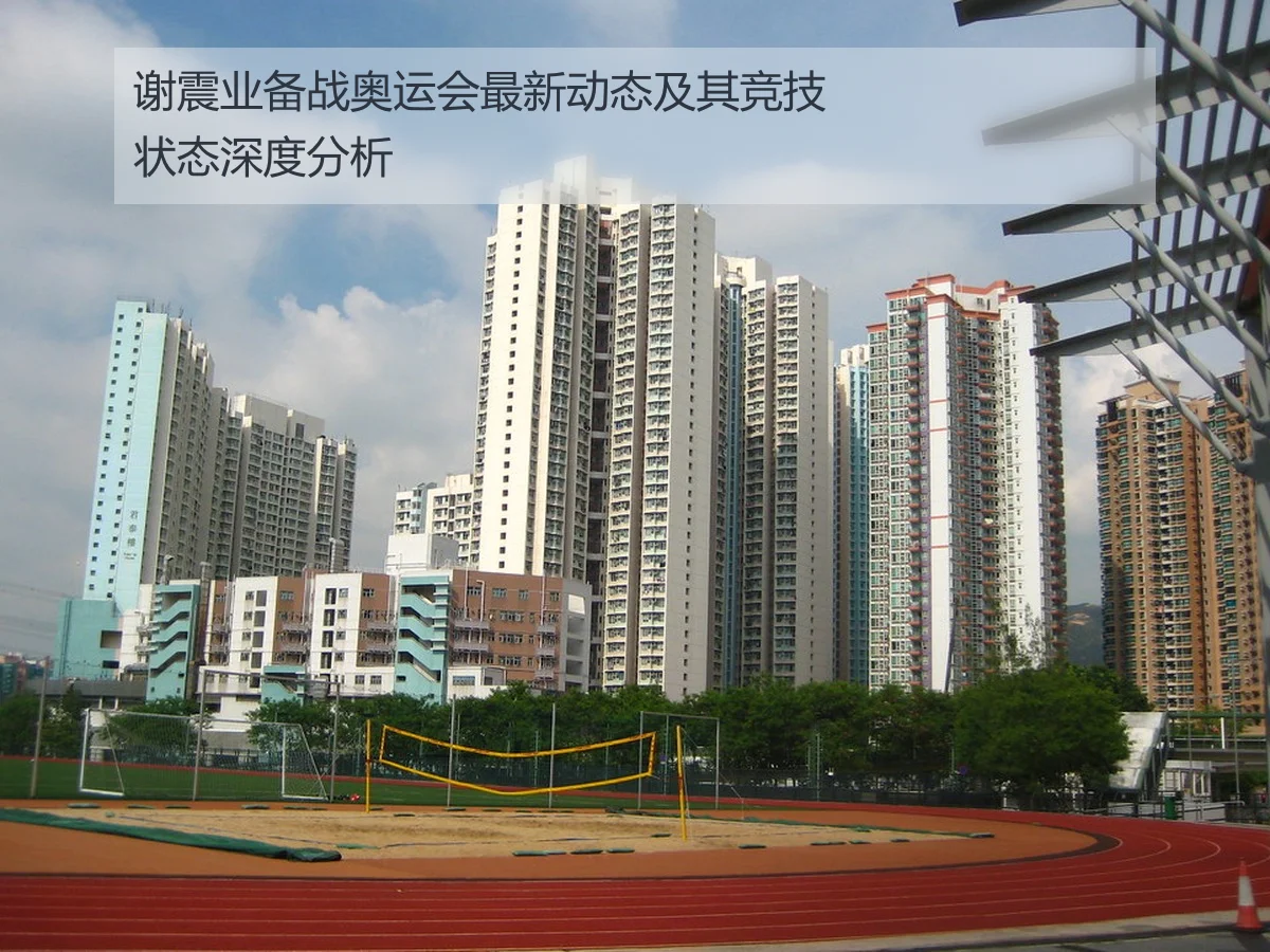 谢震业备战奥运会最新动态及其竞技状态深度分析